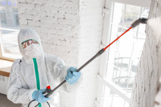 Best Dehumidification Services  in National Park, NJ