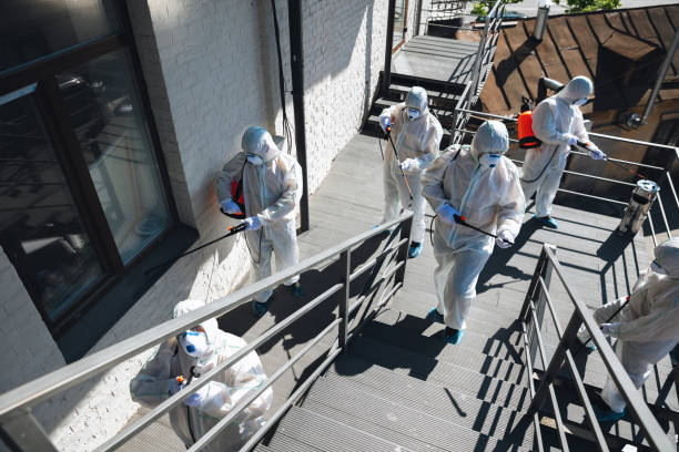 Best Mold Odor Removal Services  in National Park, NJ