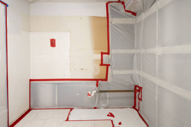 Best Forensic Mold Investigation  in National Park, NJ