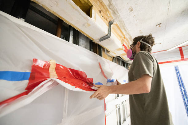 Mold Odor Removal Services in National Park, NJ