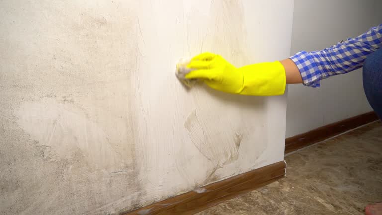 Best Emergency Mold Remediation  in National Park, NJ