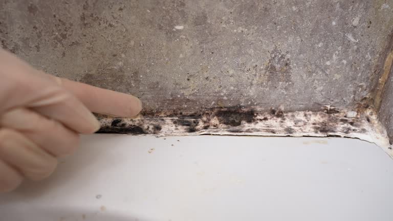 Best Asbestos and Lead Testing During Mold Inspection  in National Park, NJ
